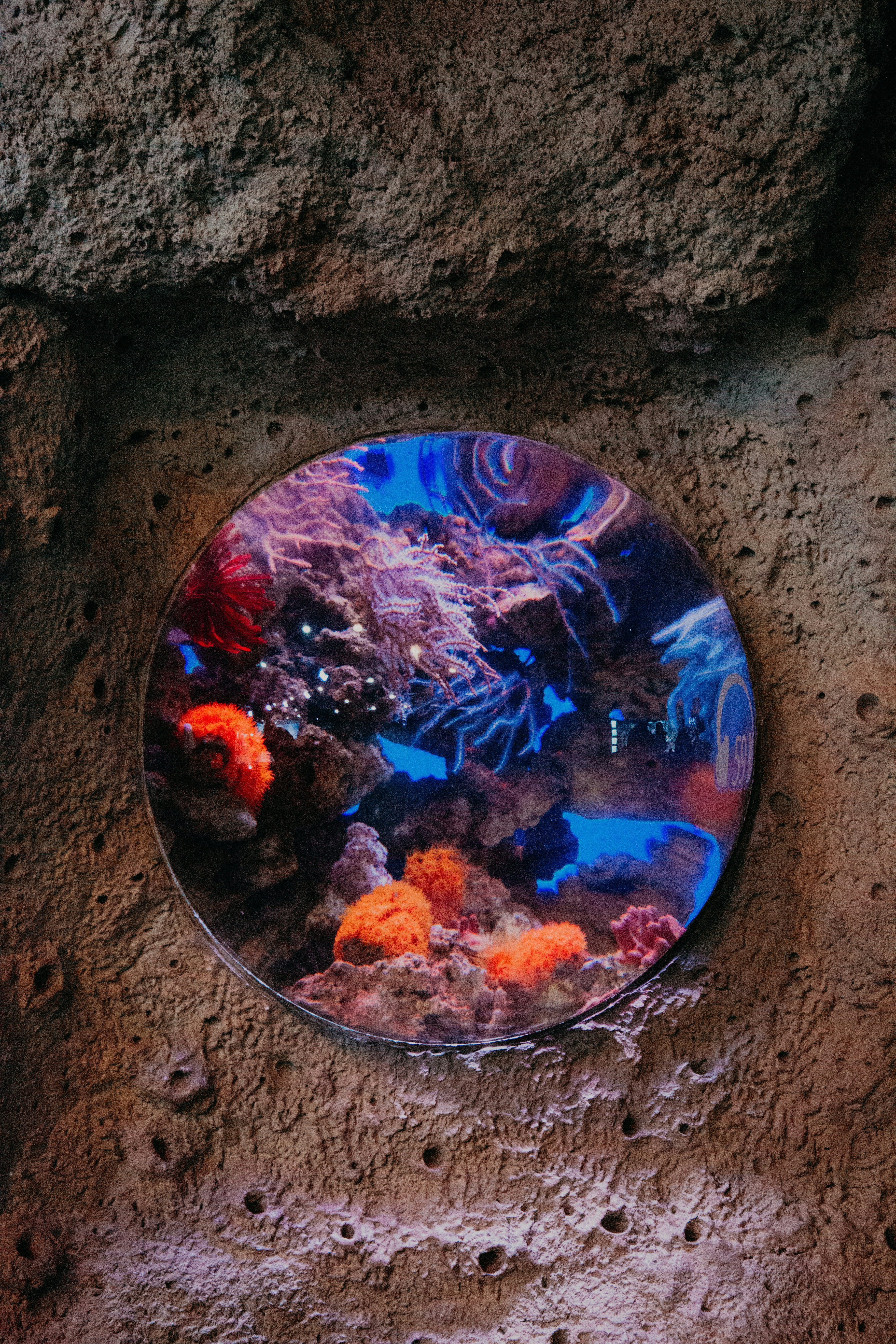 Acuario creativo y original