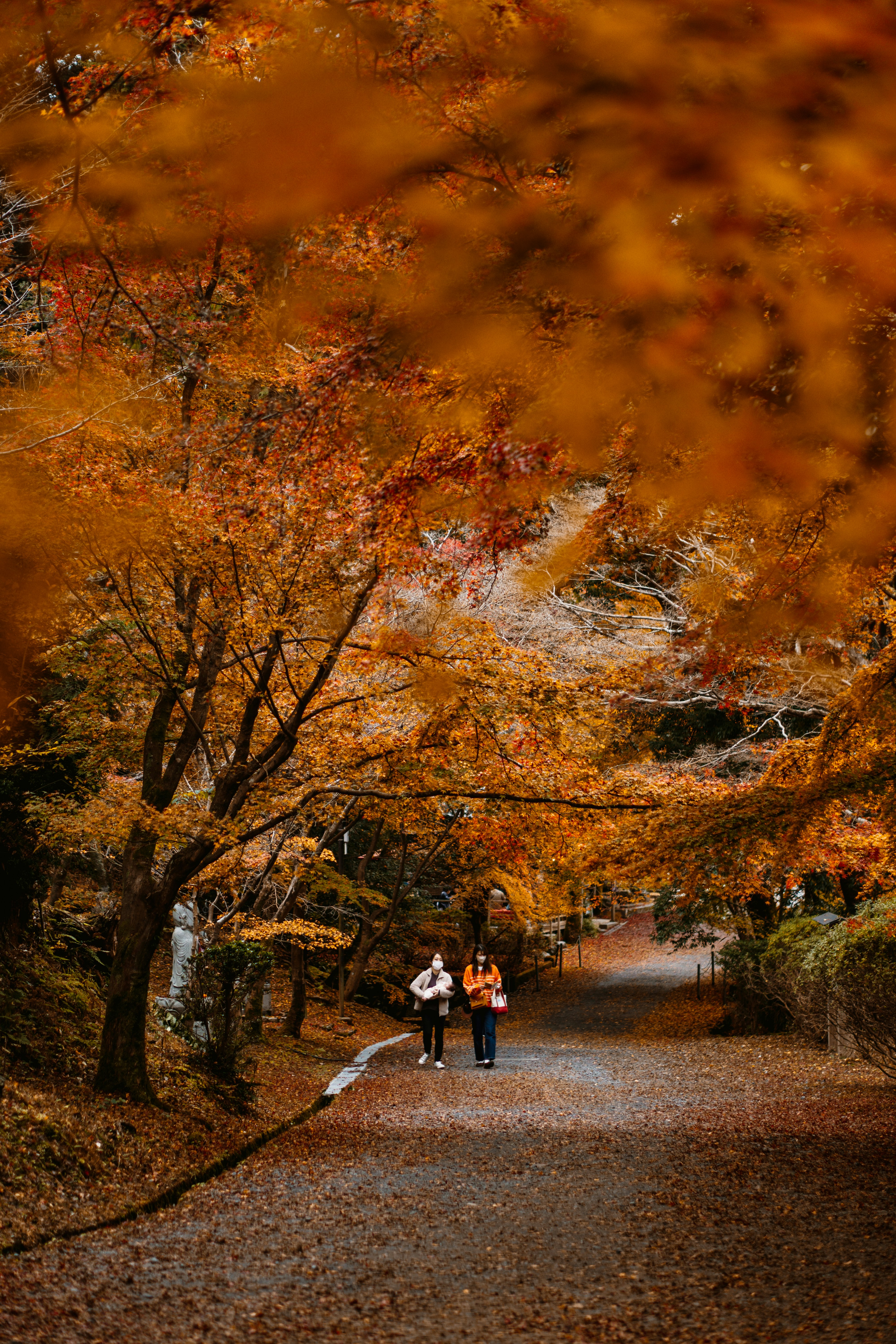 Pareja caminando por un parque en otoño