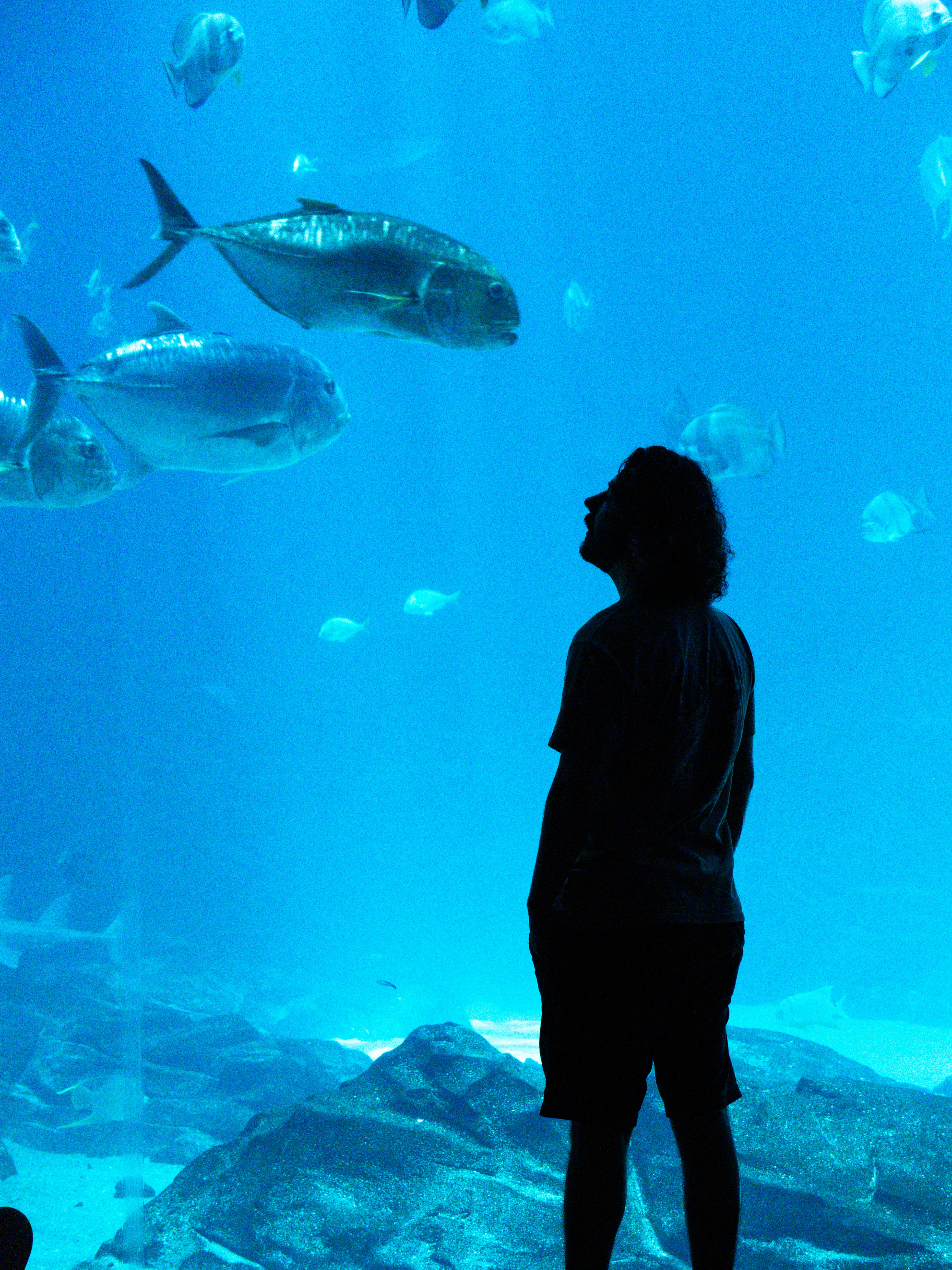 Hombre Acuario disfrutando de su espacio personal
